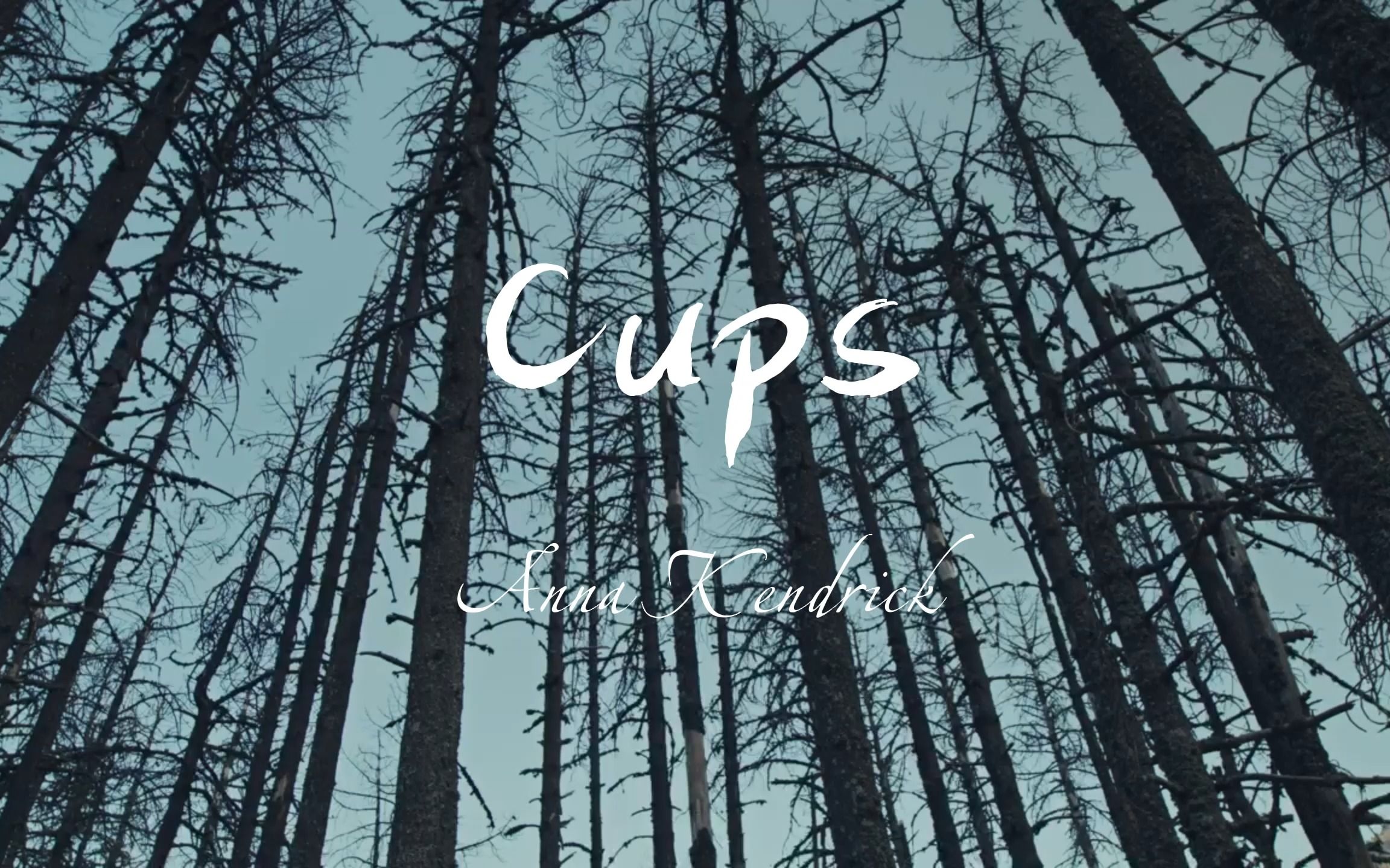 日推分享 |《Cups》| 是否还记得曾风靡全球的杯子歌哔哩哔哩bilibili