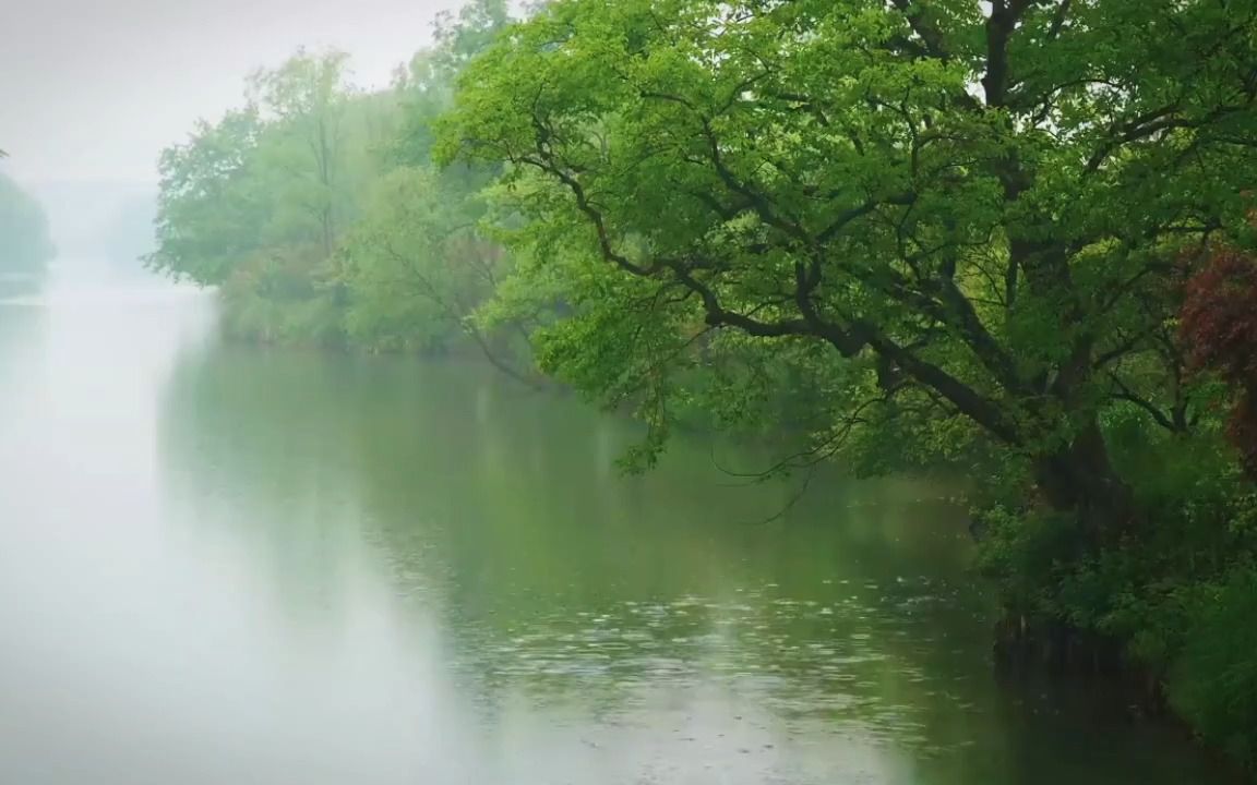 [图]下雨天，一杯茶，一本书，倚身窗前，静听醉人的琴弦声，远离世间烦恼和喧嚣，安静自在。