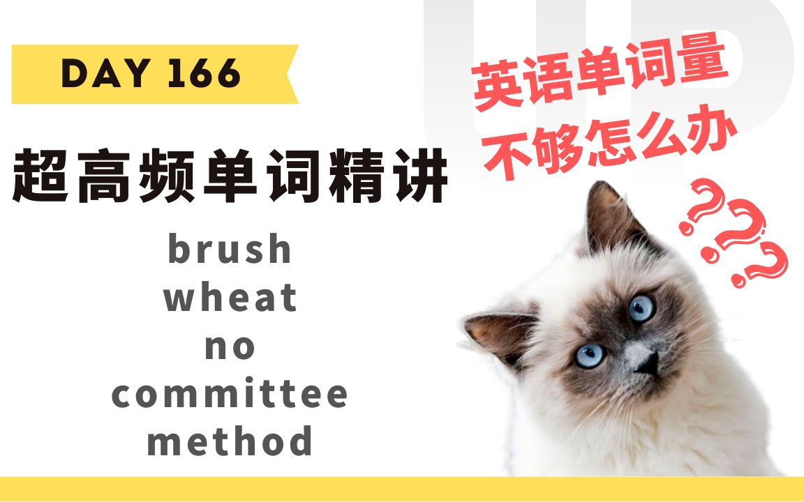 【学英语】十分钟掌握必背单词Day 166:brush, wheat, no, committee, method哔哩哔哩bilibili