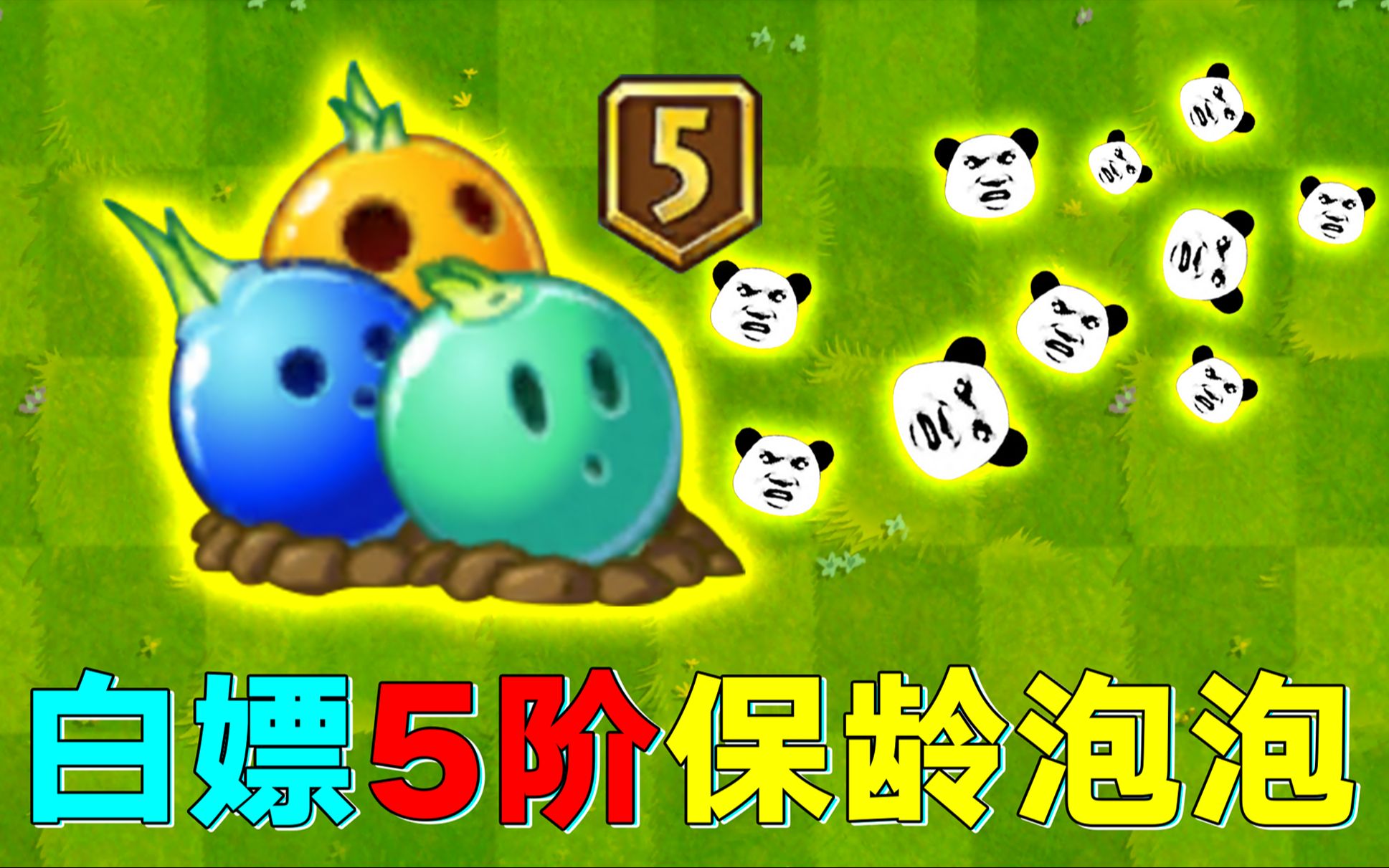 pvz2:如何白嫖5阶保龄泡泡?人人都能得到的金卡神器!
