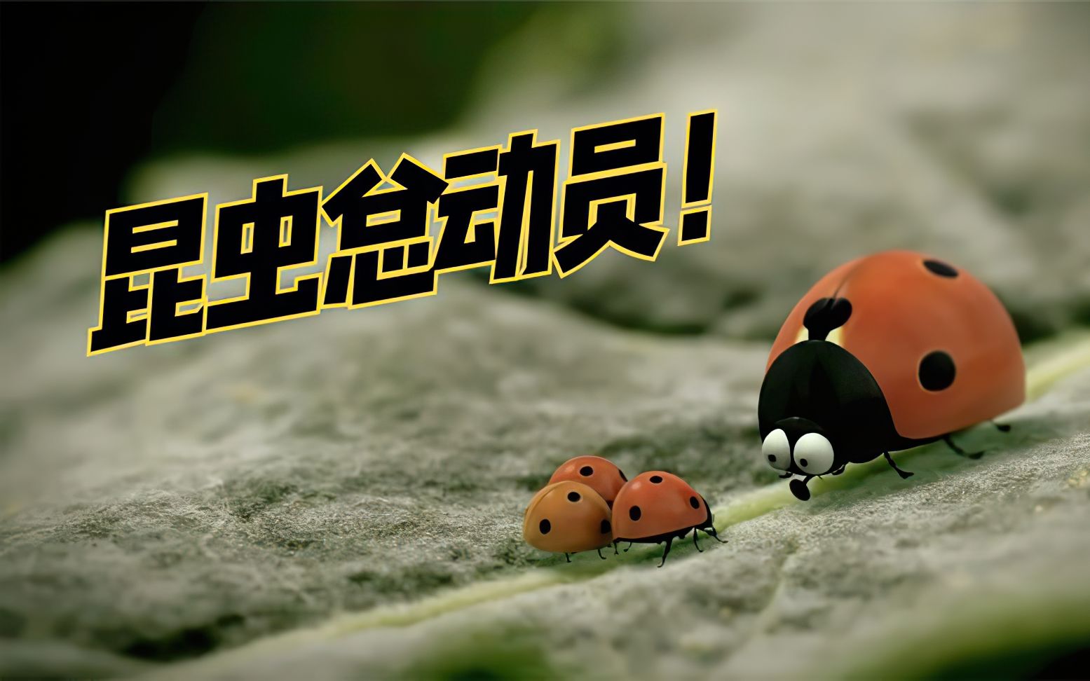 蚂蚁之间的战争有多可怕,居然连核武器都用上了,动画电影