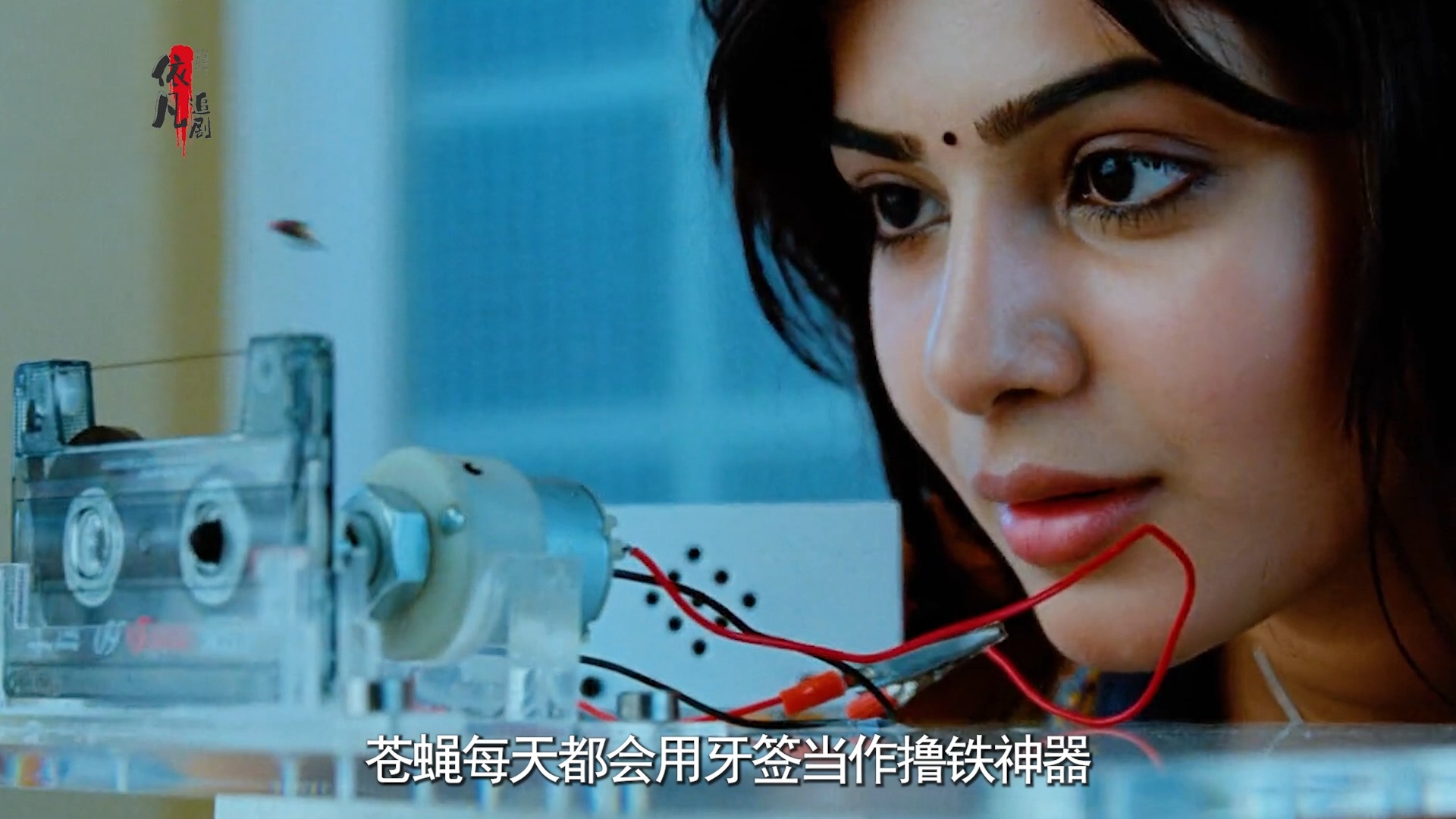 男人死后变成一只苍蝇,和女友一起向凶手复仇.印度电影《功夫小蝇》