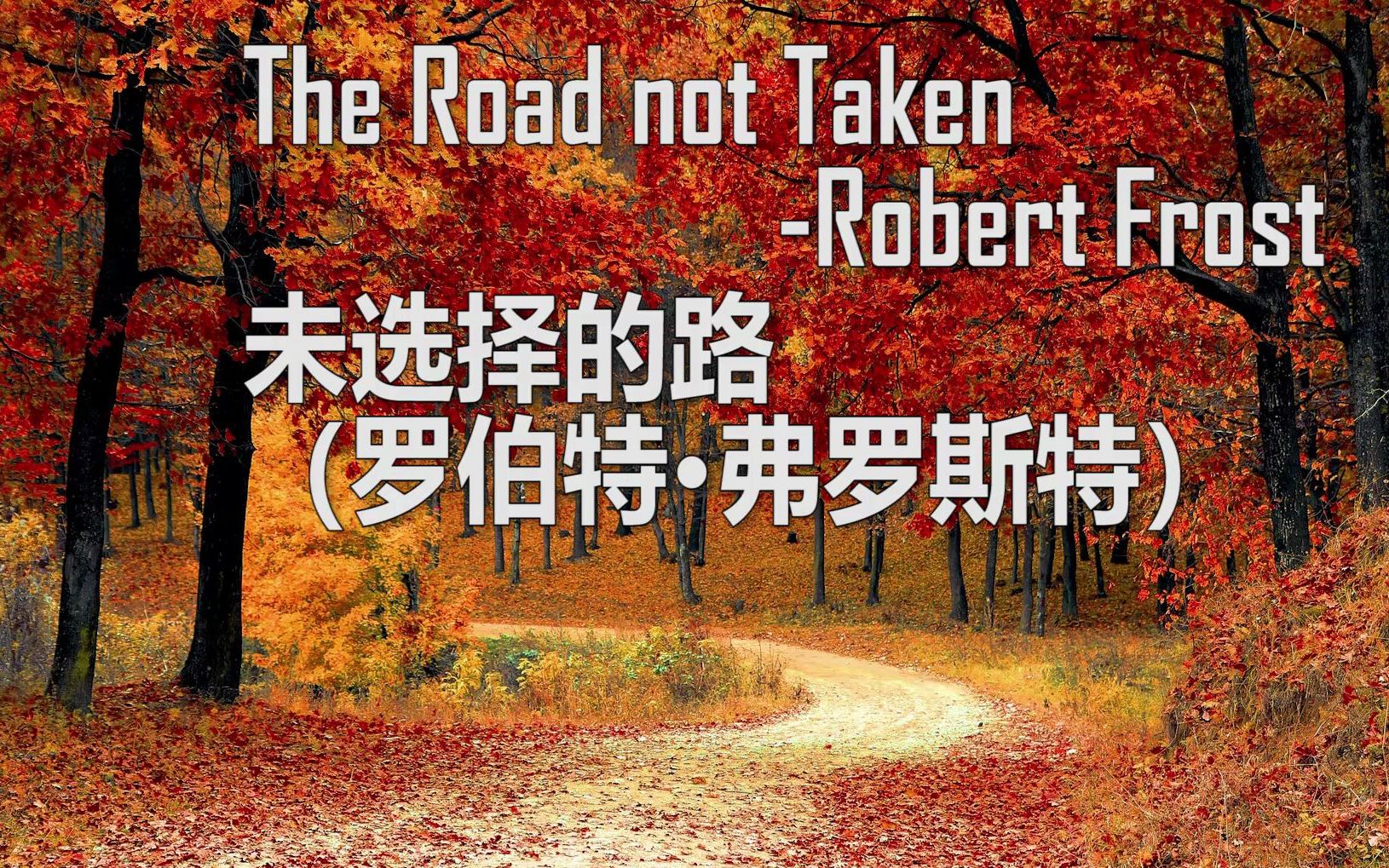 英语诗歌朗诵:未选择的路 罗伯特·佛罗斯特 the road not taken
