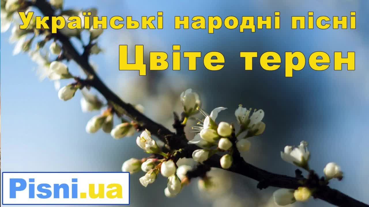 [图]Цвіте терен 刺李花开 版本2 修改了一点前奏 古典吉他 前进一点