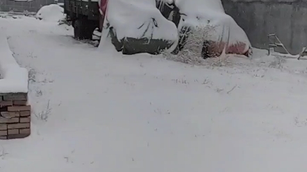 [图]转发这场雪会有好运