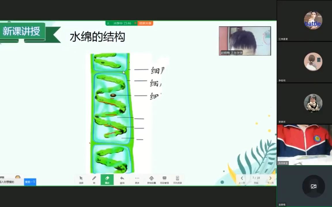 藻类植物哔哩哔哩bilibili