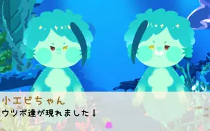 【合集｜扭曲仙境】海鮮們動畫的合集