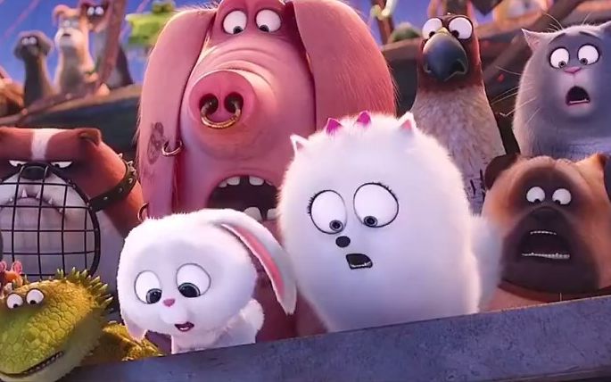 【爱宠大机密】一直自恋到爆的兔子