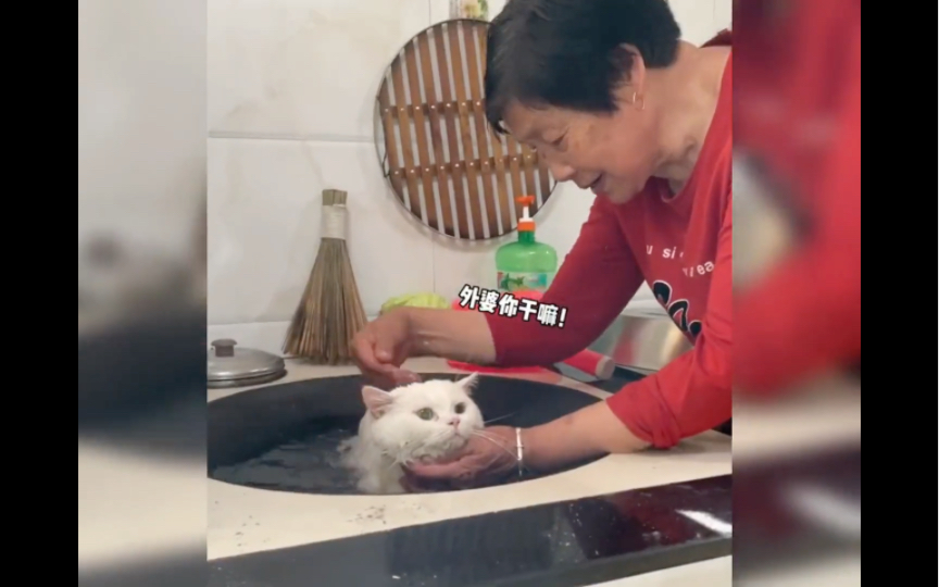 [图]被爷爷奶奶养大的猫，像个孩子