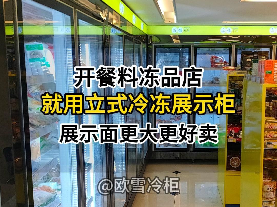 开餐料冻品店用什么冷柜?哔哩哔哩bilibili