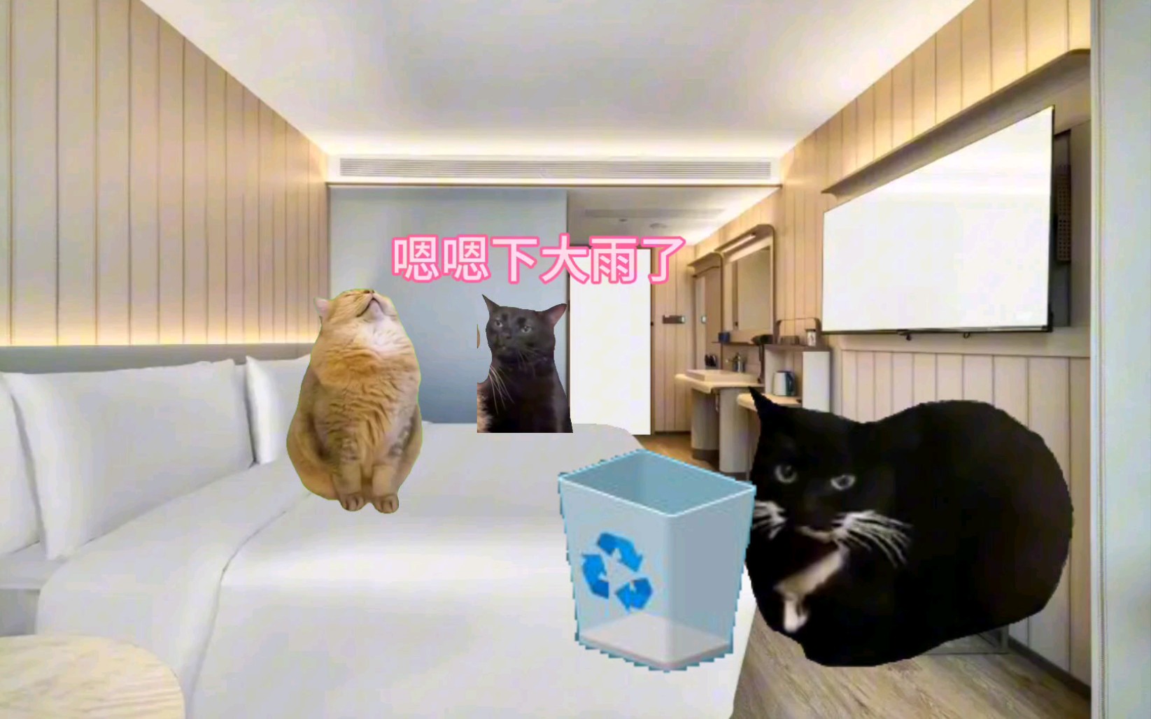 [图]【猫meme】和女朋友在酒店甜甜蜜蜜被打扰三次的故事