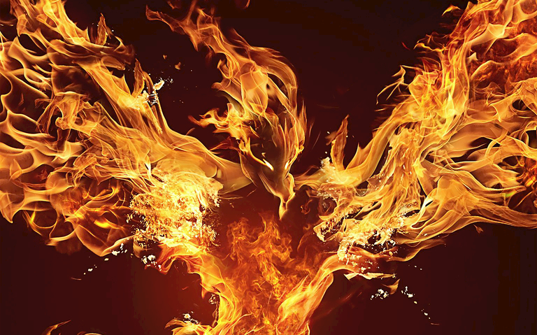 10月3日星火服英雄火区24波记录!