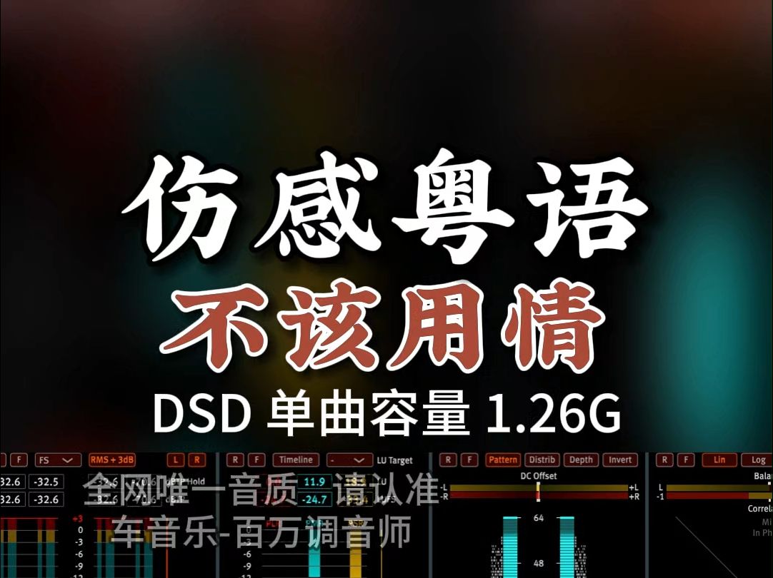 经典粤语金曲,单曲循环!《不该用情》DSD完整版1.26G,百万调音师专业录音棚制作,顶级hifi无损音质哔哩哔哩bilibili