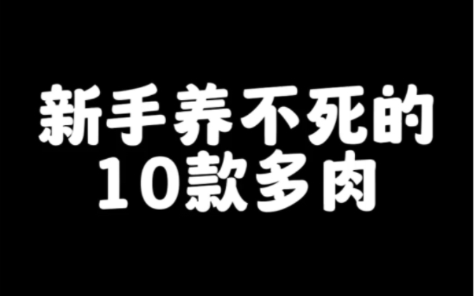 新手养不死的多肉品种!超级适合怕养死多肉的宝宝,养这几款多肉绝对让你对养多肉有信心.#多肉 #多肉养护 #新手养多肉 #多肉控 #多肉植物哔哩哔哩...