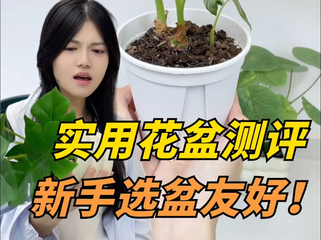 花盆红黑榜,绿植新手选盆不迷茫❗️哔哩哔哩bilibili