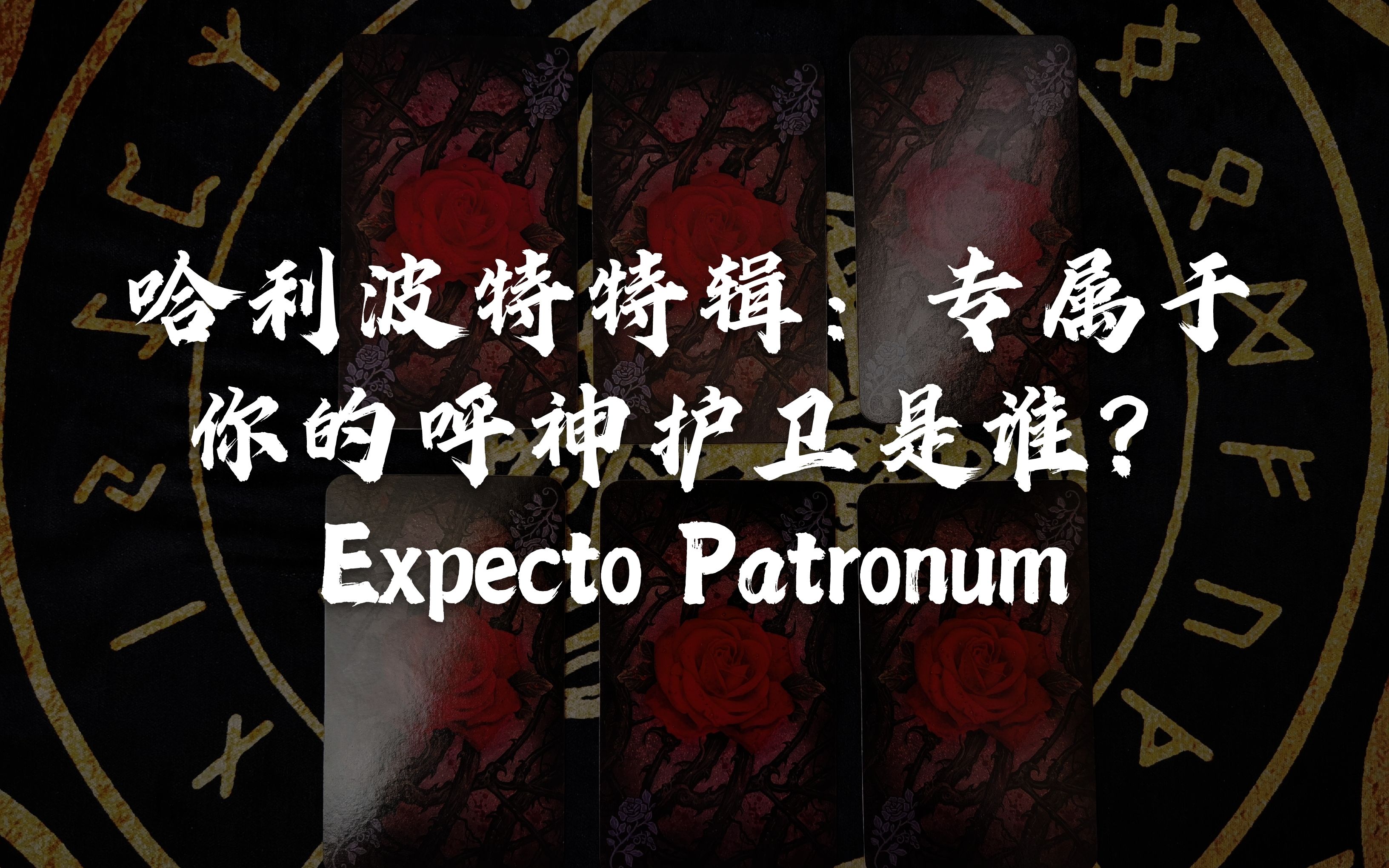 【龙女塔罗】哈利波特特辑:专属于你的呼神护卫是谁?expecto patronum