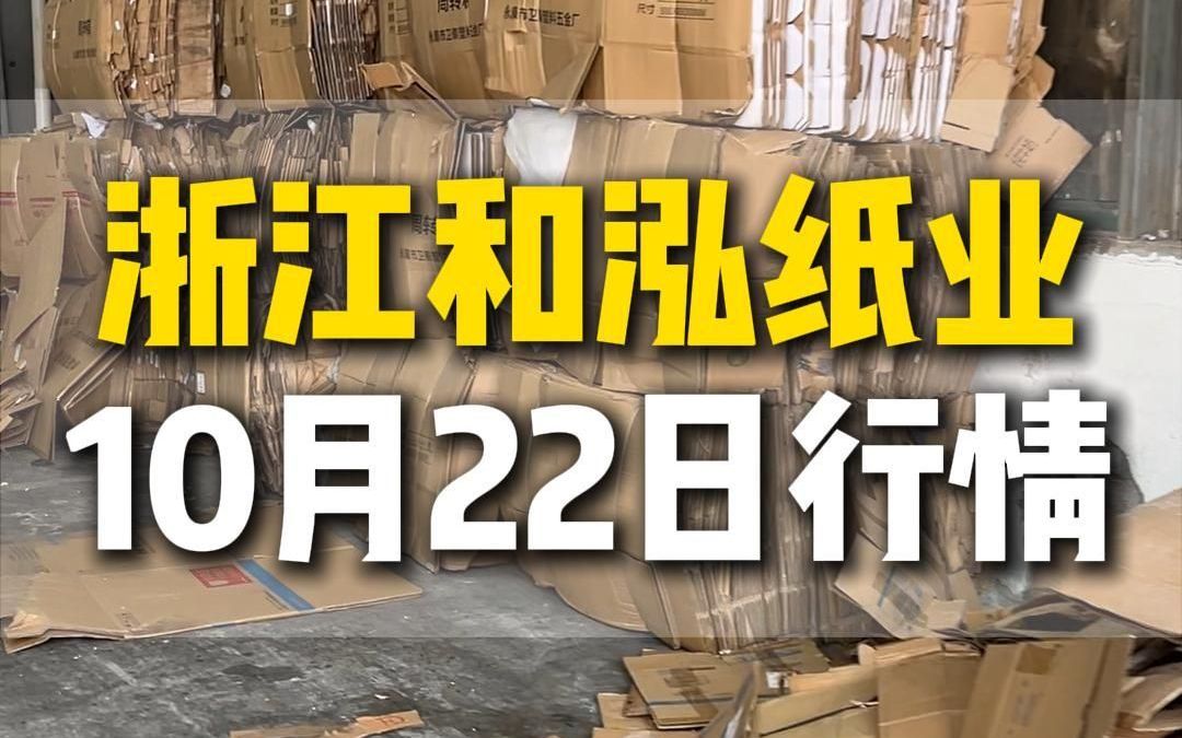 10月22日浙江和泓纸业今日行情参考哔哩哔哩bilibili