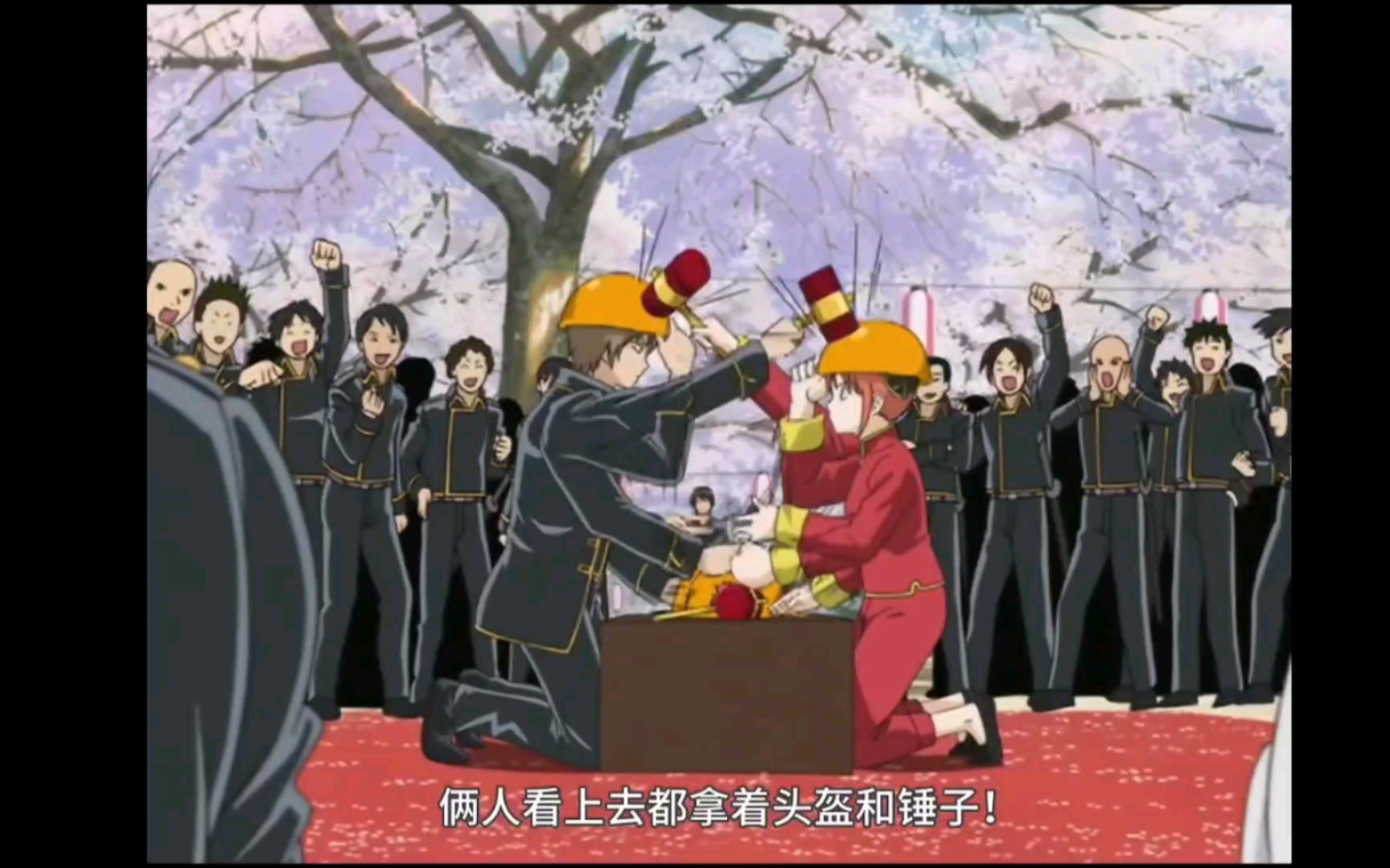 银魂赏樱花大战总悟vs神乐银桑vs十四都是可爱鬼呀