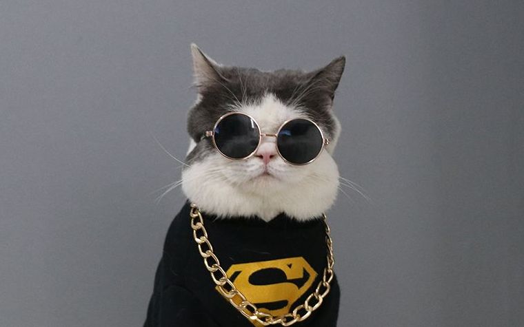 【gluneko咕噜猫】《gta5》换装秀(持更)