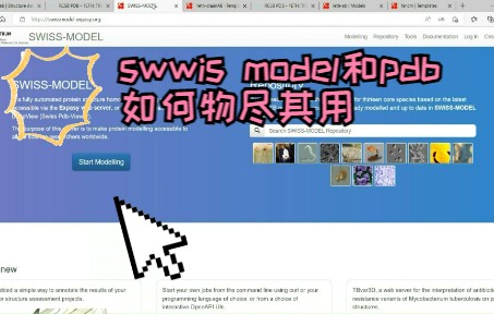 【Swwis model和pdb数据库的使用指南】哔哩哔哩bilibili