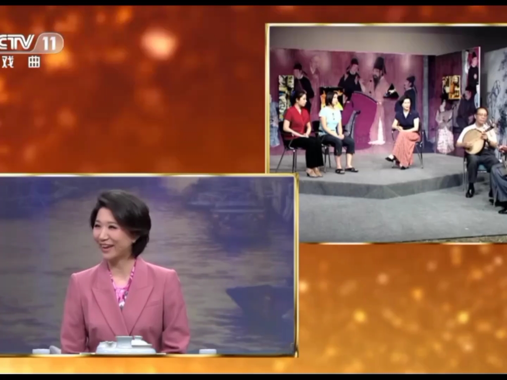 戏曲频道开播20周年,赵葆秀老艺术家访谈嘉宾