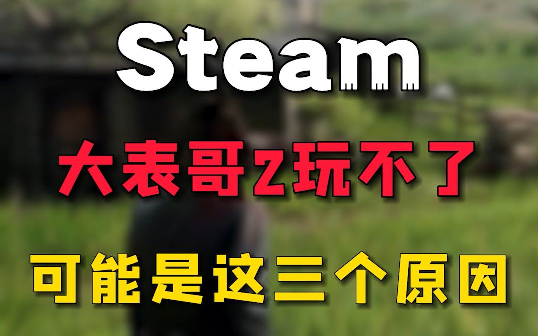 [图]Steam入手了大表哥2玩不了？那可能是因为这三个问题。