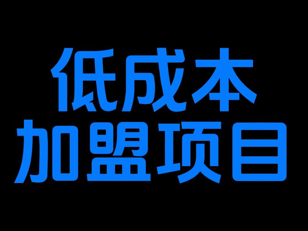 低成本投入的加盟项目有哪些?哔哩哔哩bilibili