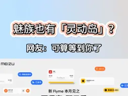 魅族也有「灵动岛」？网友：可算等到你期待住了