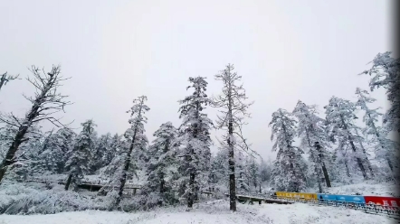 瓦屋山门票代订 门票+金花桥索道+古佛坪索道180元(最迟提前两天预订,1月后210元,官网价格236元)哔哩哔哩bilibili