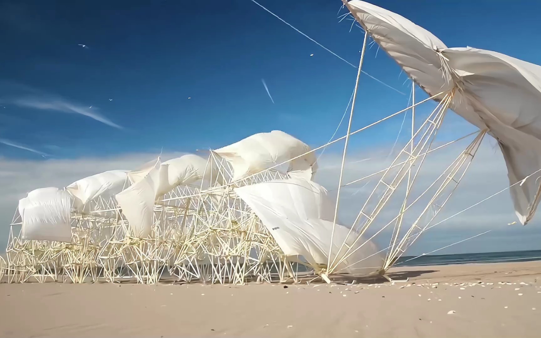 每天认识一位艺术家,今天的艺术家是theo jansen