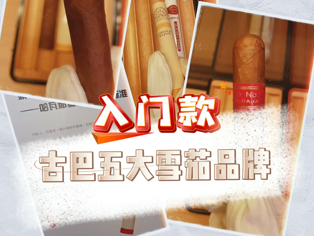 古巴雪茄五大品牌新手入门款