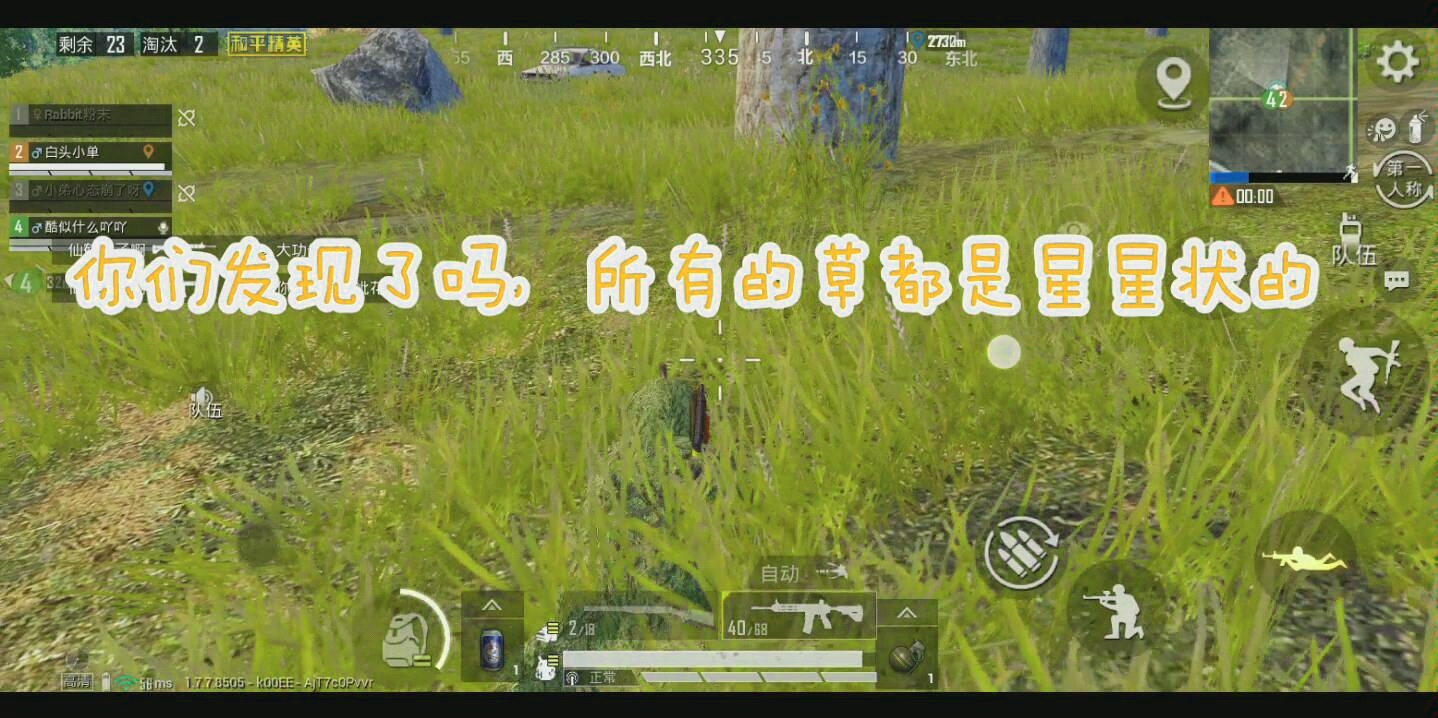 星星形状的草?哔哩哔哩bilibili