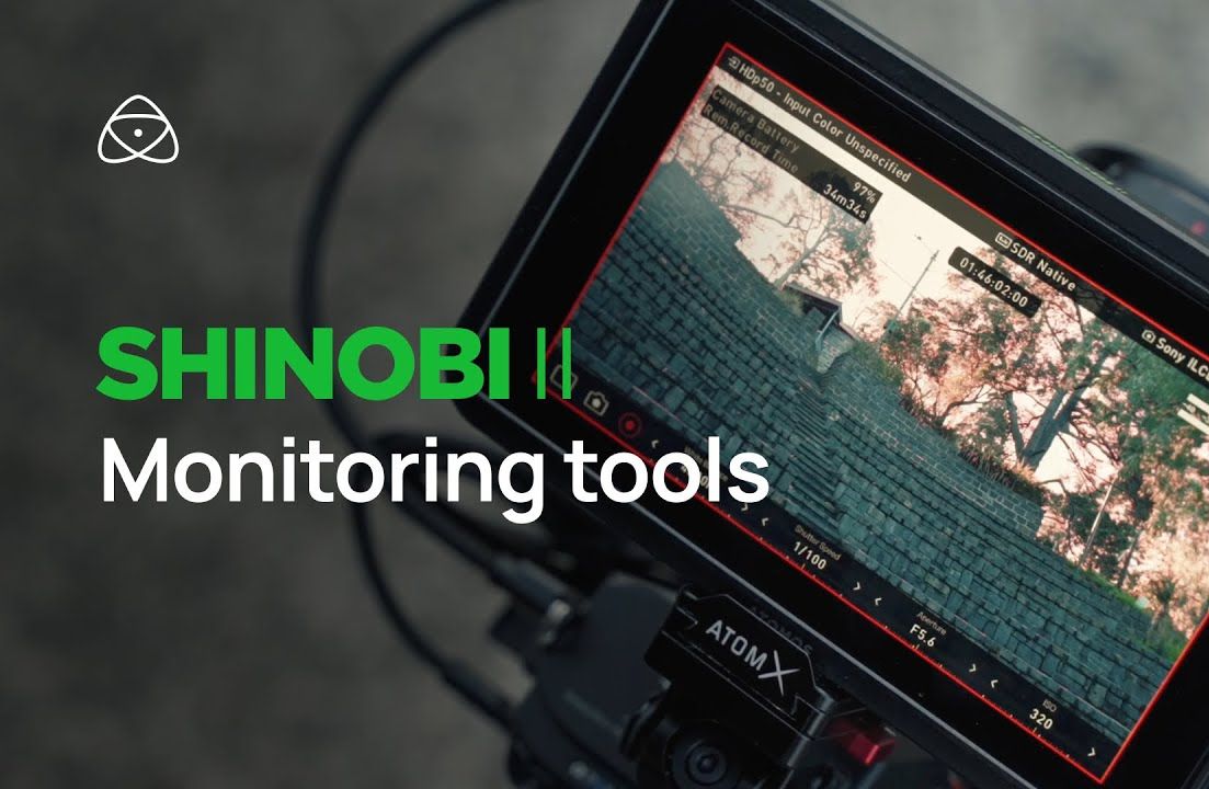 Atomos Shinobi II |监看辅助工具详解哔哩哔哩bilibili