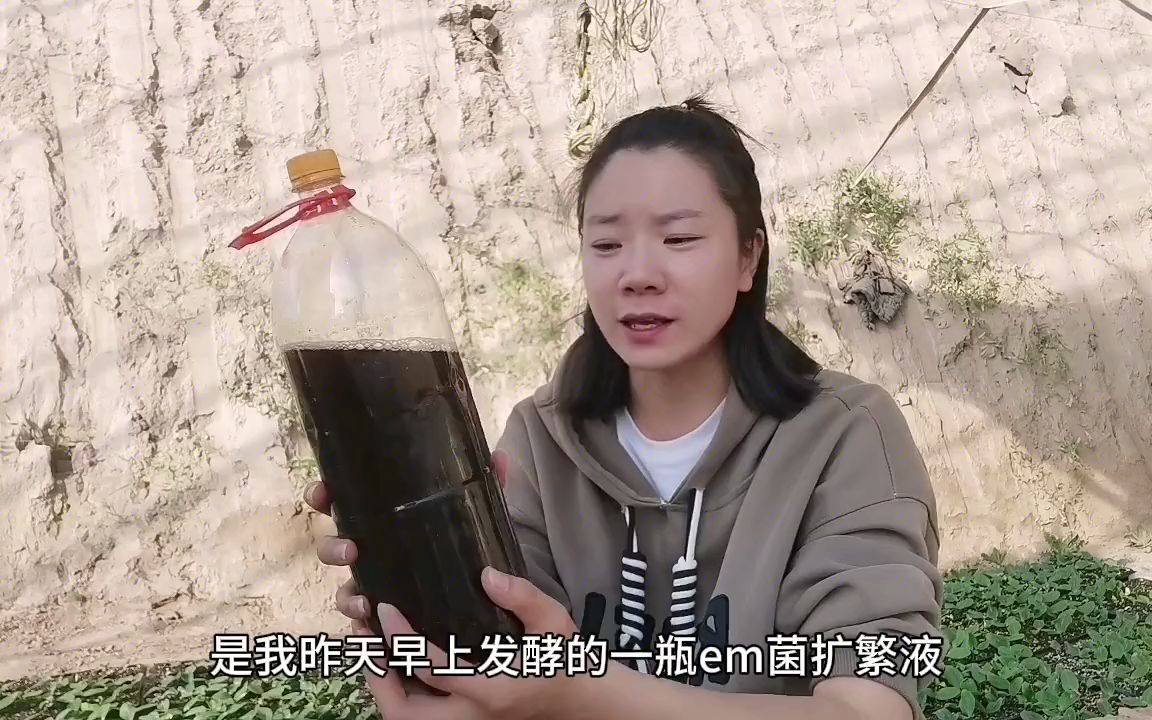 发酵em菌扩繁液为什么没有气体?一定是这里弄错了,赶紧看看吧哔哩哔哩bilibili