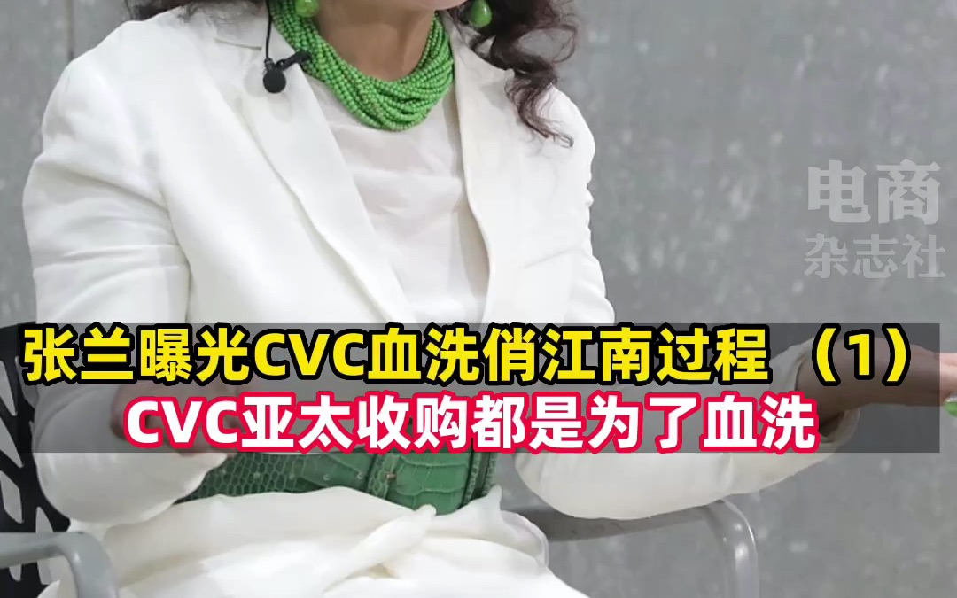 凤凰网对话张兰:CVC资本想尽办法要拖住我们的上市步伐哔哩哔哩bilibili