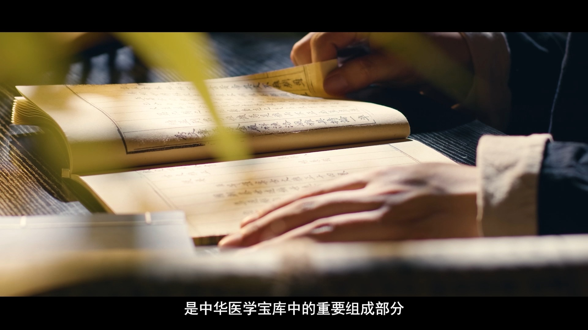 重生中医传承