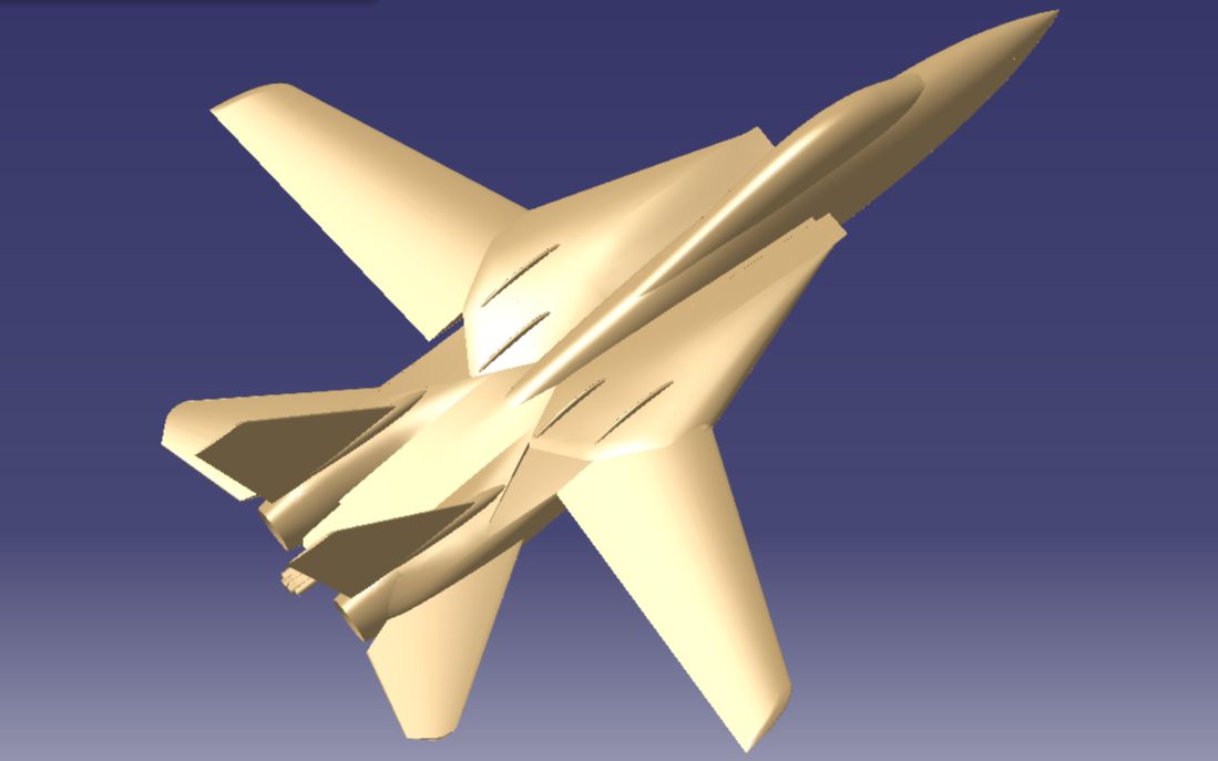 帅气的雄猫f14可变后掠翼战机