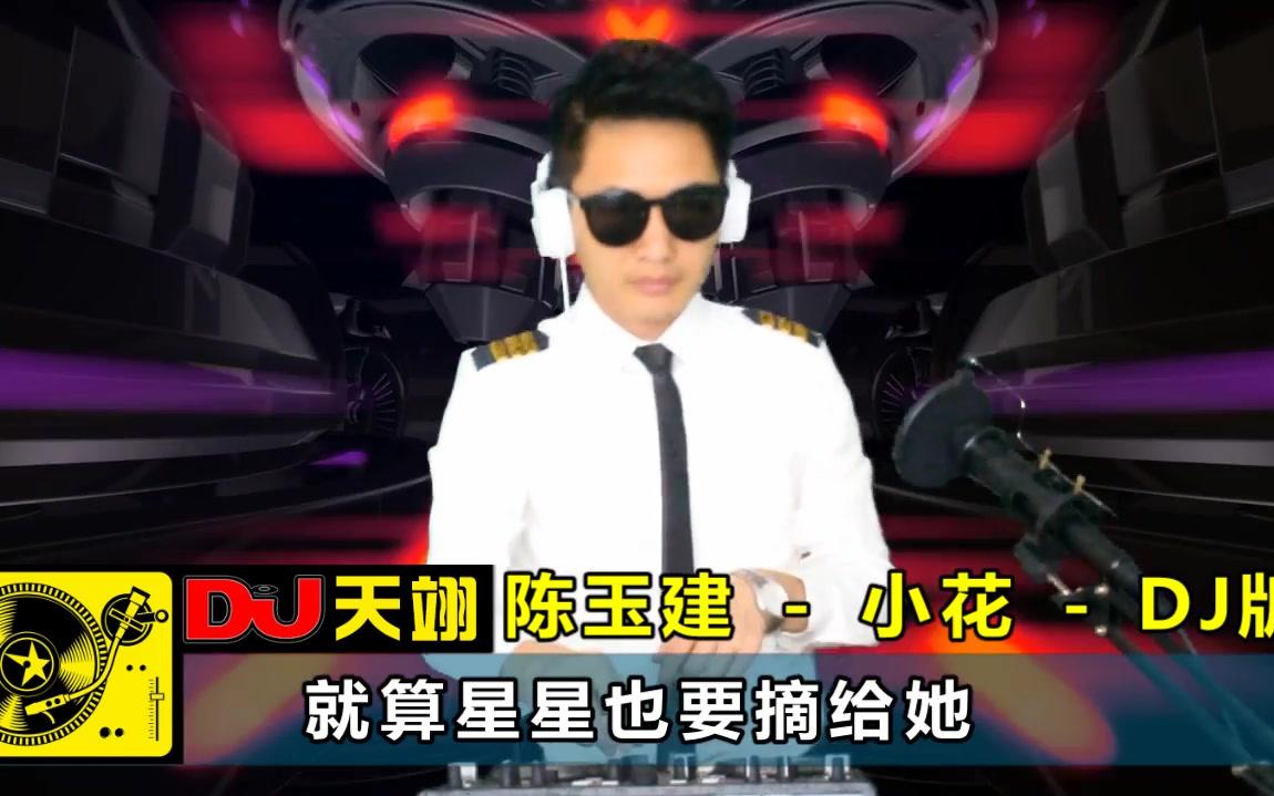 [图]一首动感DJ《小花》，好听极了！