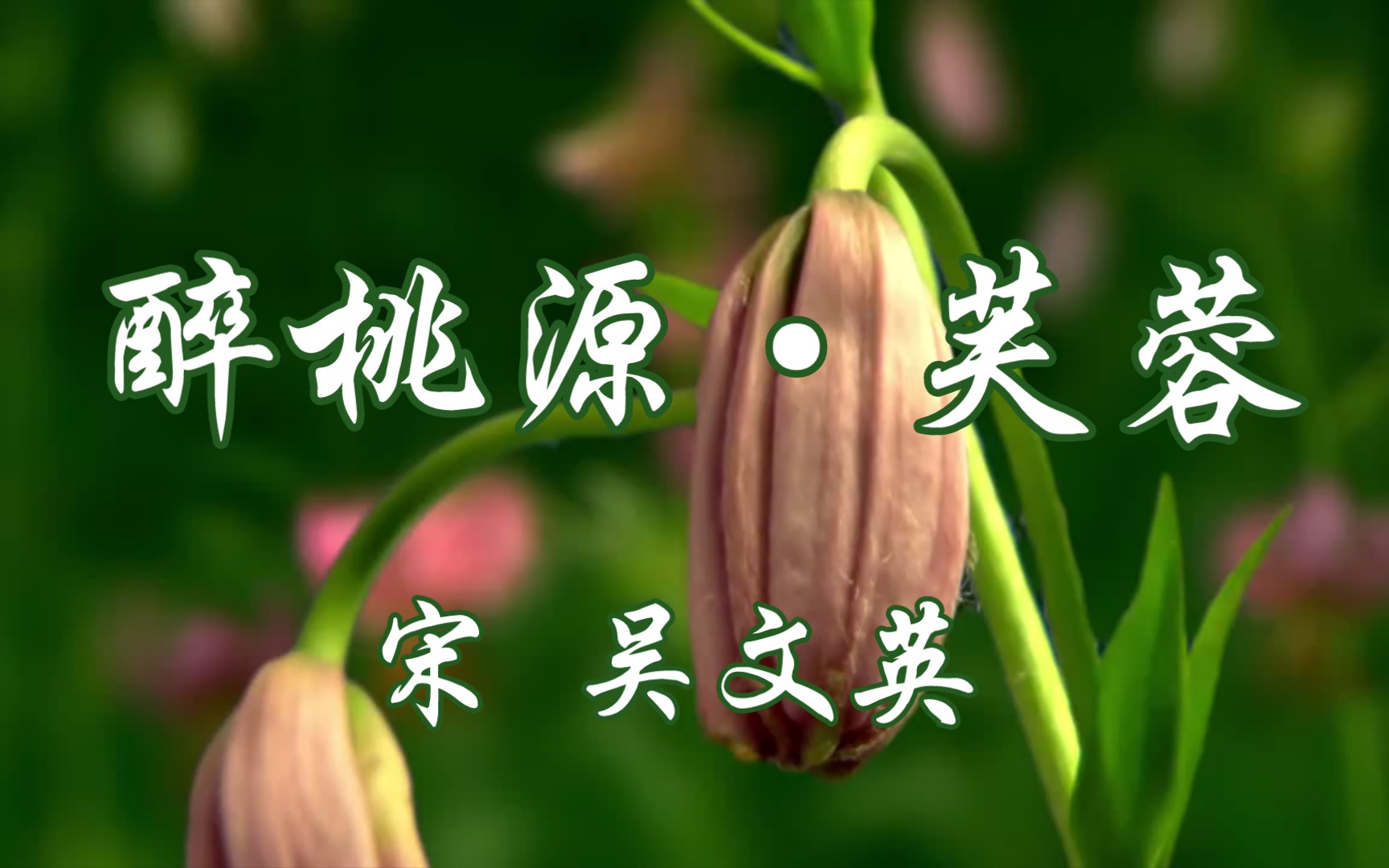 [图]读给你听《醉桃源•芙蓉》宋 吴文英