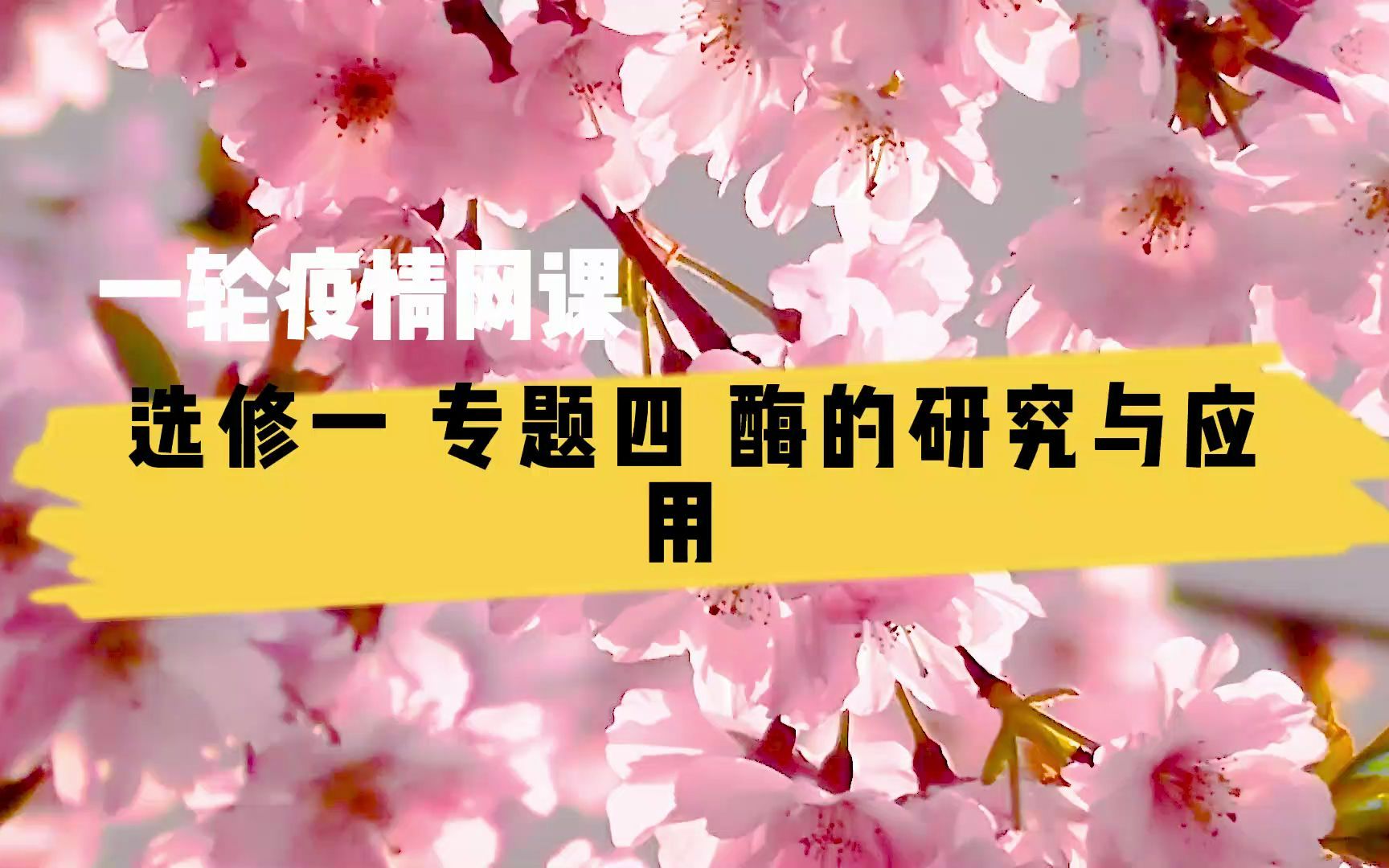 高中生物一轮 选修一 专题四 酶的研究与应用[第一部分]哔哩哔哩bilibili