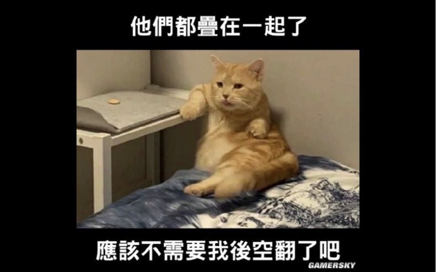 【猫】他们已经叠在一起了