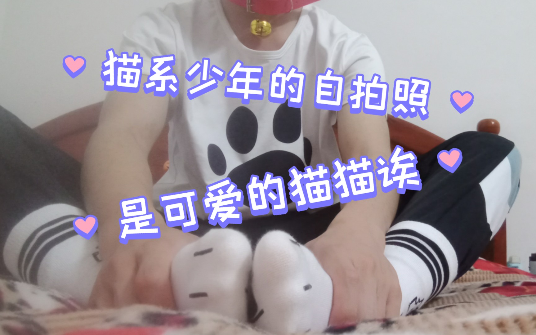 猫~系~昌~年~哔哩哔哩bilibili