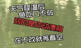 下载视频: 降温后鱼口并不弱，没鱼口是因为你平时打的都是体动漂相