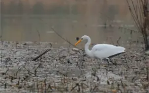 Скачать видео: 来自腾龙28-200的200端