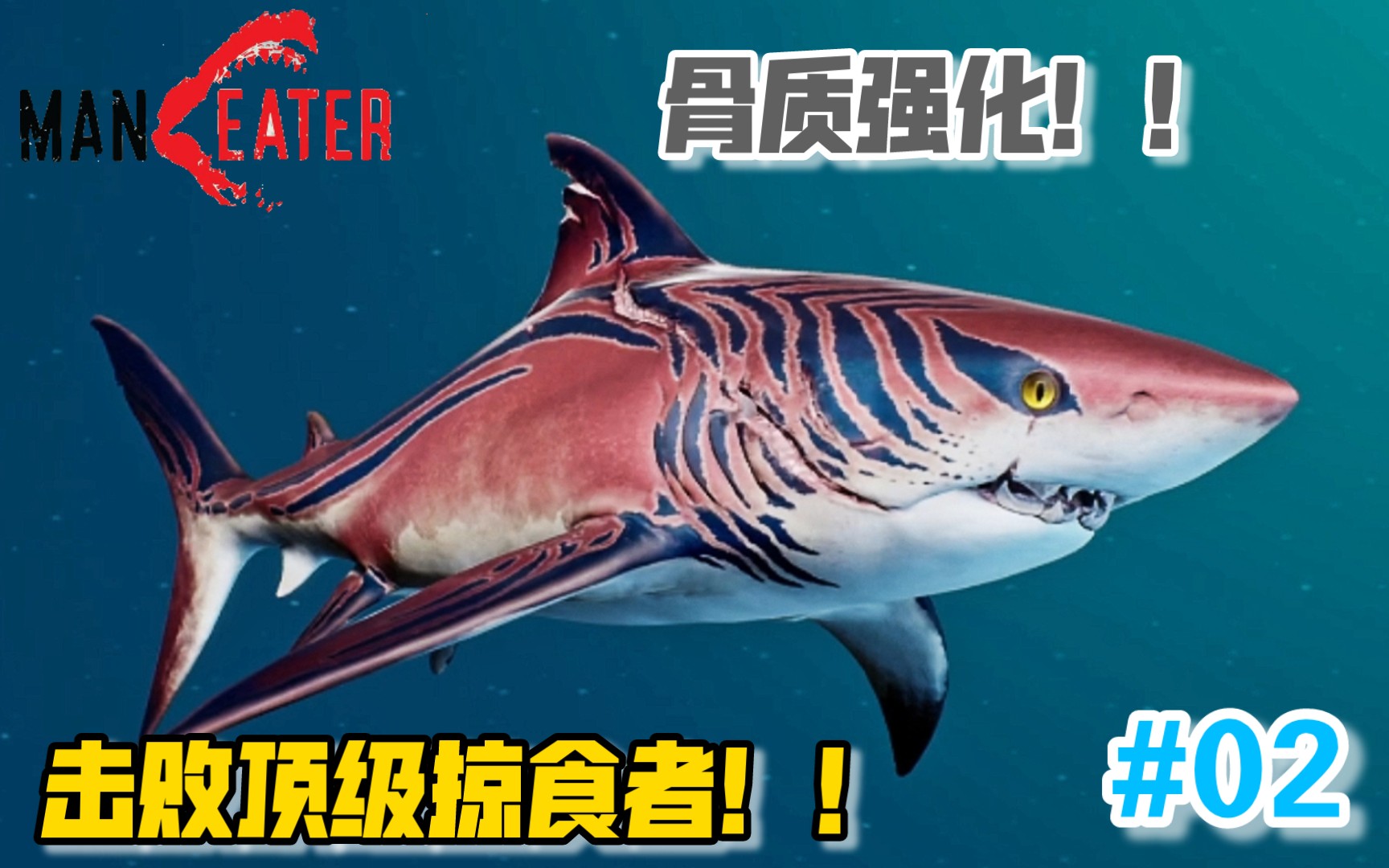 [图]成功进入成长期！击败顶级掠食者！！#02《食人鲨》Maneater【哥总】