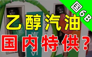 Download Video: 国外“全面禁止”的乙醇汽油，既降动力又加油耗？【乙醇汽油大盘点】