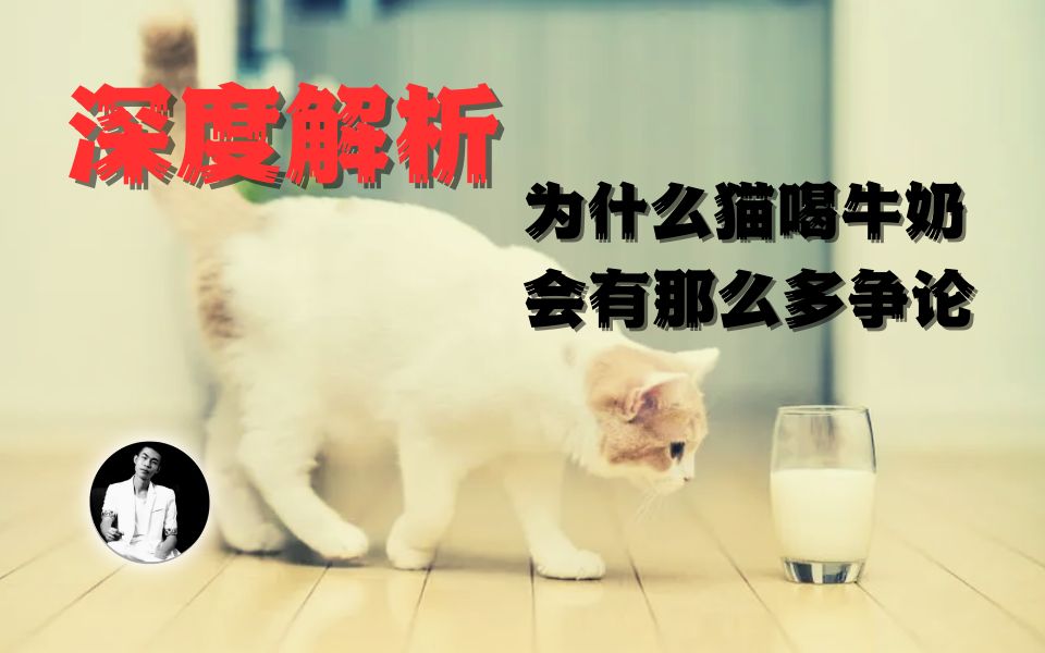 【猫咪健康必修课】:猫到底能不能喝牛奶哔哩哔哩bilibili