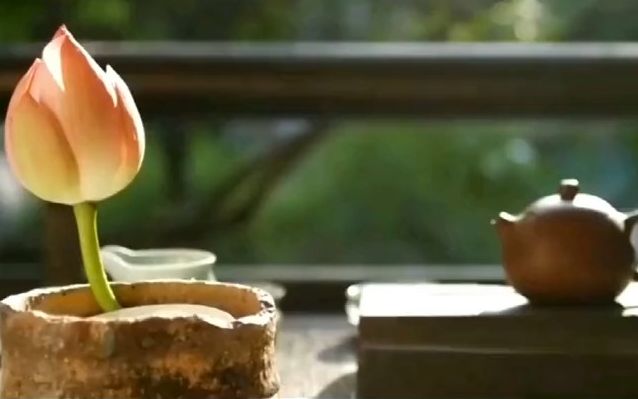 古风音乐推荐闭上双眼聆听煮茶品茗邀清影,问道无由拨古琴