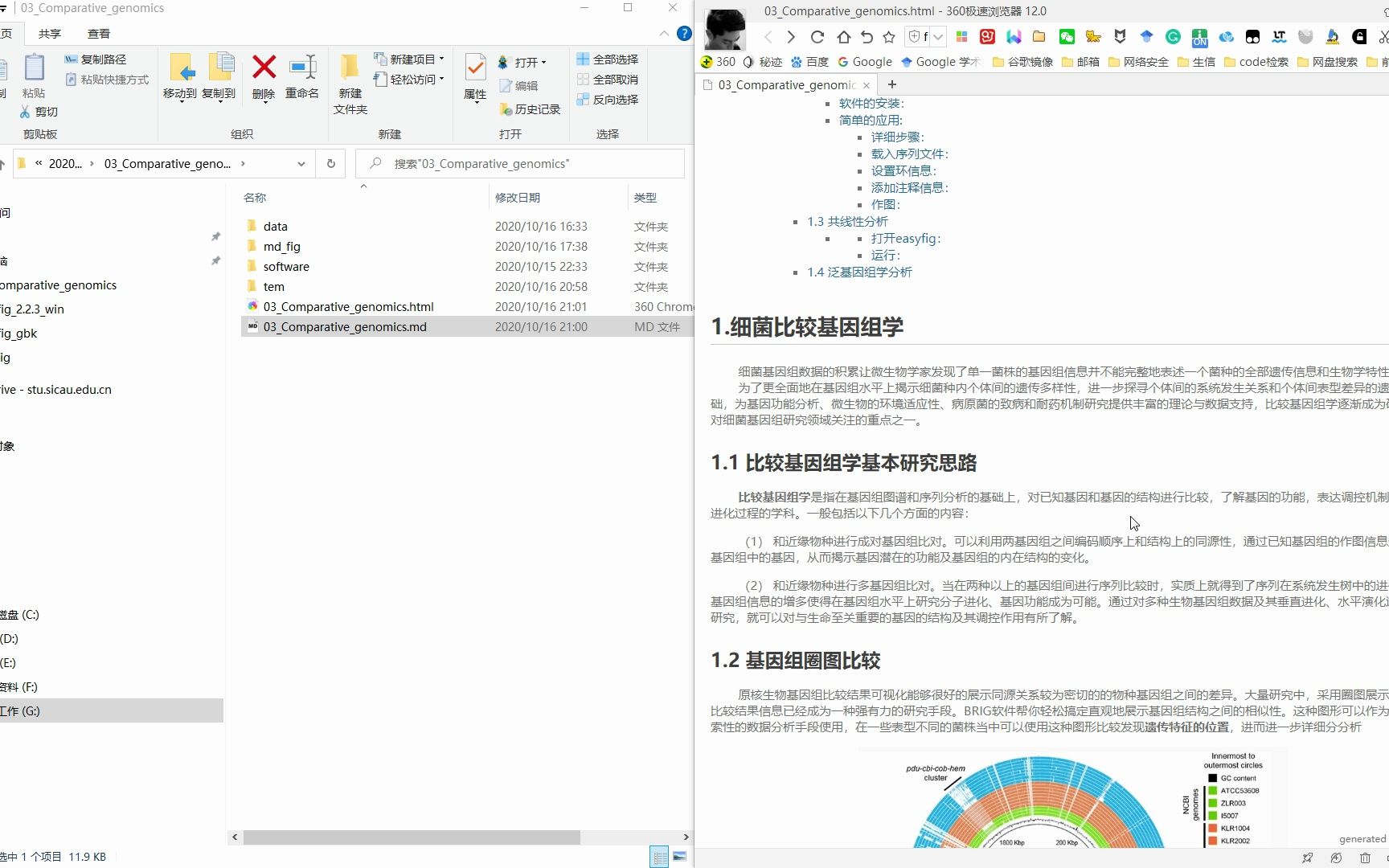 细菌基因组分析入门009Comparativegenomics1哔哩哔哩bilibili