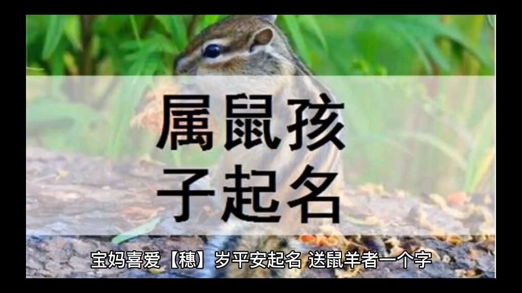 吉字穗适用哪些生肖哔哩哔哩bilibili